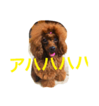 りっくんすたんぷ！！（個別スタンプ：5）