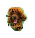 りっくんすたんぷ！！（個別スタンプ：8）