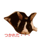 うさぎのすーさん（個別スタンプ：10）