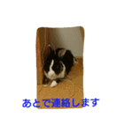 うさぎのすーさん（個別スタンプ：15）