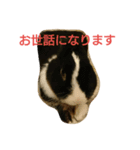 うさぎのすーさん（個別スタンプ：16）