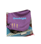 guinepig（個別スタンプ：15）