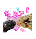 あらかぶと話そ！（個別スタンプ：4）