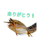 あらかぶと話そ！（個別スタンプ：11）