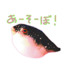 あらかぶと話そ！（個別スタンプ：13）