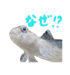 あらかぶと話そ！（個別スタンプ：22）
