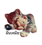 Cheshire~~（個別スタンプ：2）
