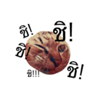 Cheshire~~（個別スタンプ：4）