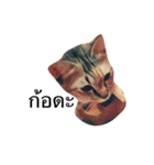 Cheshire~~（個別スタンプ：5）