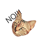 Cheshire~~（個別スタンプ：6）
