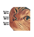 Cheshire~~（個別スタンプ：8）