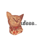 Cheshire~~（個別スタンプ：11）