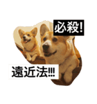 トランプとブルーノの日常（個別スタンプ：15）
