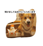 トランプとブルーノの日常（個別スタンプ：28）