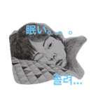 tsunpig（個別スタンプ：3）