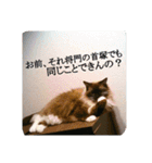 ruri's pic2.5（個別スタンプ：9）