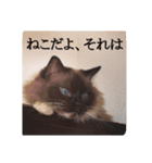 ruri's pic2.5（個別スタンプ：10）