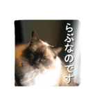 ruri's pic2.5（個別スタンプ：13）
