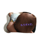 ベビーポン（個別スタンプ：15）