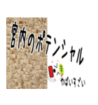 The Miyauchi Sticker 777（個別スタンプ：13）