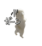 もふっとぺきなな2（個別スタンプ：14）