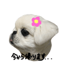 もふっとぺきなな2（個別スタンプ：37）