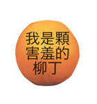 orange's life is so good.（個別スタンプ：6）