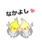 たっぷりオカメインコ（個別スタンプ：3）