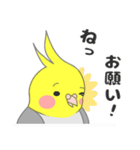 たっぷりオカメインコ（個別スタンプ：5）