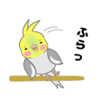 たっぷりオカメインコ（個別スタンプ：6）