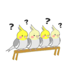 たっぷりオカメインコ（個別スタンプ：7）