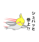 たっぷりオカメインコ（個別スタンプ：9）