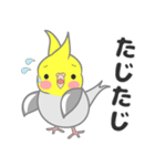 たっぷりオカメインコ（個別スタンプ：10）