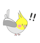 たっぷりオカメインコ（個別スタンプ：16）