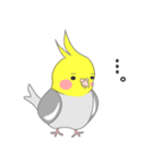 たっぷりオカメインコ（個別スタンプ：17）