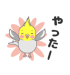 たっぷりオカメインコ（個別スタンプ：20）