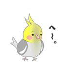 たっぷりオカメインコ（個別スタンプ：21）