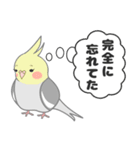 たっぷりオカメインコ（個別スタンプ：27）