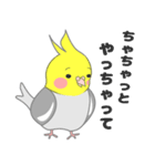 たっぷりオカメインコ（個別スタンプ：31）