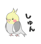 たっぷりオカメインコ（個別スタンプ：34）