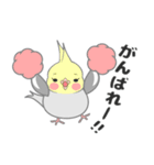 たっぷりオカメインコ（個別スタンプ：35）