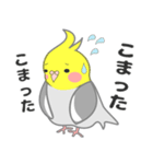 たっぷりオカメインコ（個別スタンプ：36）