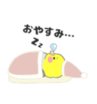 たっぷりオカメインコ（個別スタンプ：40）