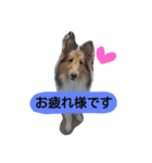 ラスティーとメイ時々にゃんこ（個別スタンプ：3）
