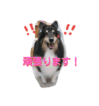ラスティーとメイ時々にゃんこ（個別スタンプ：18）