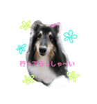 ラスティーとメイ時々にゃんこ（個別スタンプ：20）