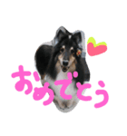 ラスティーとメイ時々にゃんこ（個別スタンプ：21）