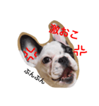 Elvis stumps（個別スタンプ：3）