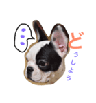 Elvis stumps（個別スタンプ：7）