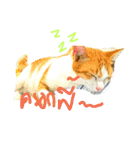 cat malee（個別スタンプ：2）